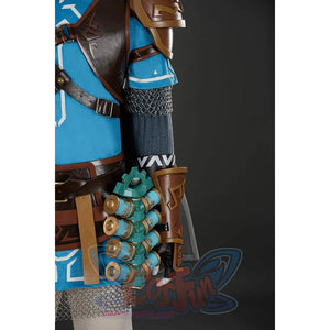 The Legend Of Zelda: Tears The Kingdom Link Cosplay Costume C09219S Costumes