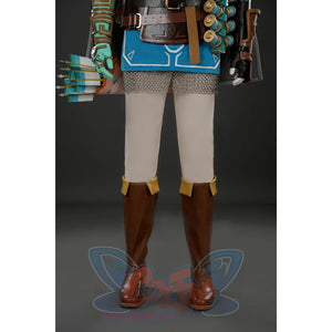 The Legend Of Zelda: Tears The Kingdom Link Cosplay Costume C09219S Costumes