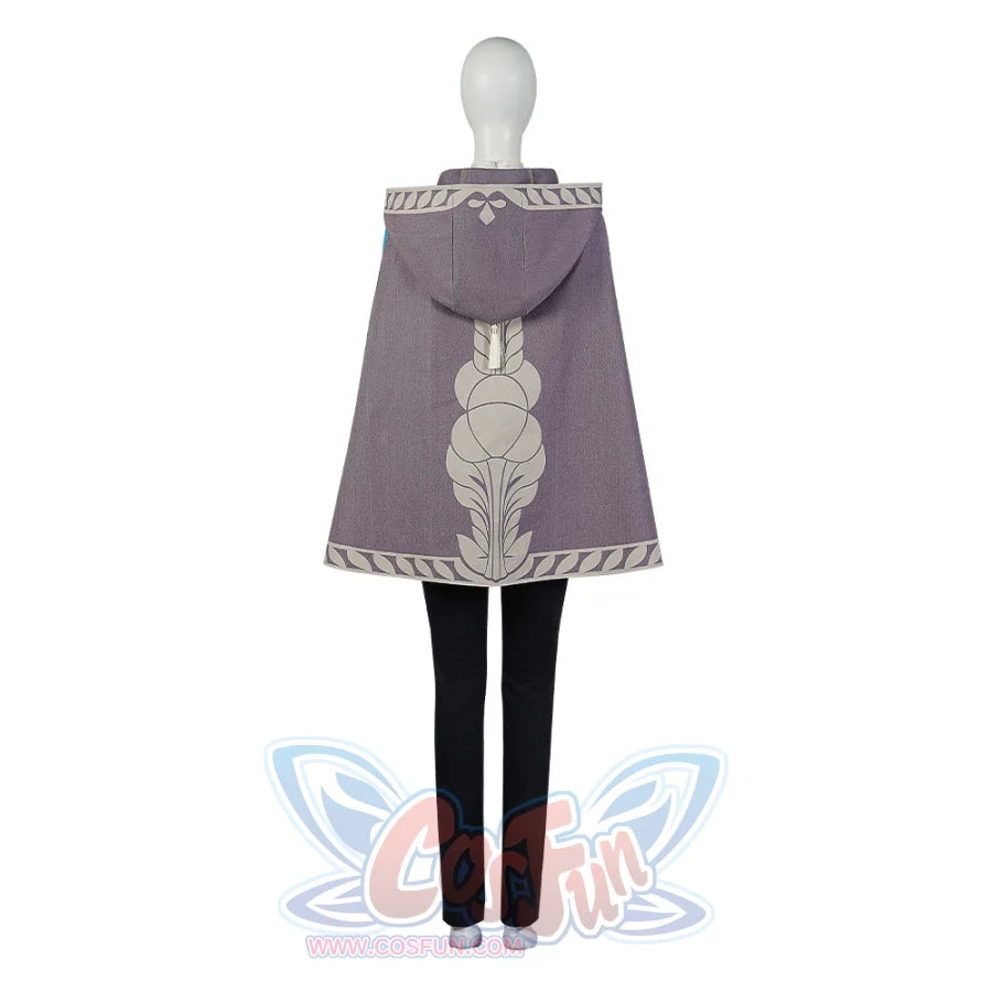 The Legend Of Zelda: Tears The Kingdom Princess Zelda Cosplay Costume C07725 Costumes