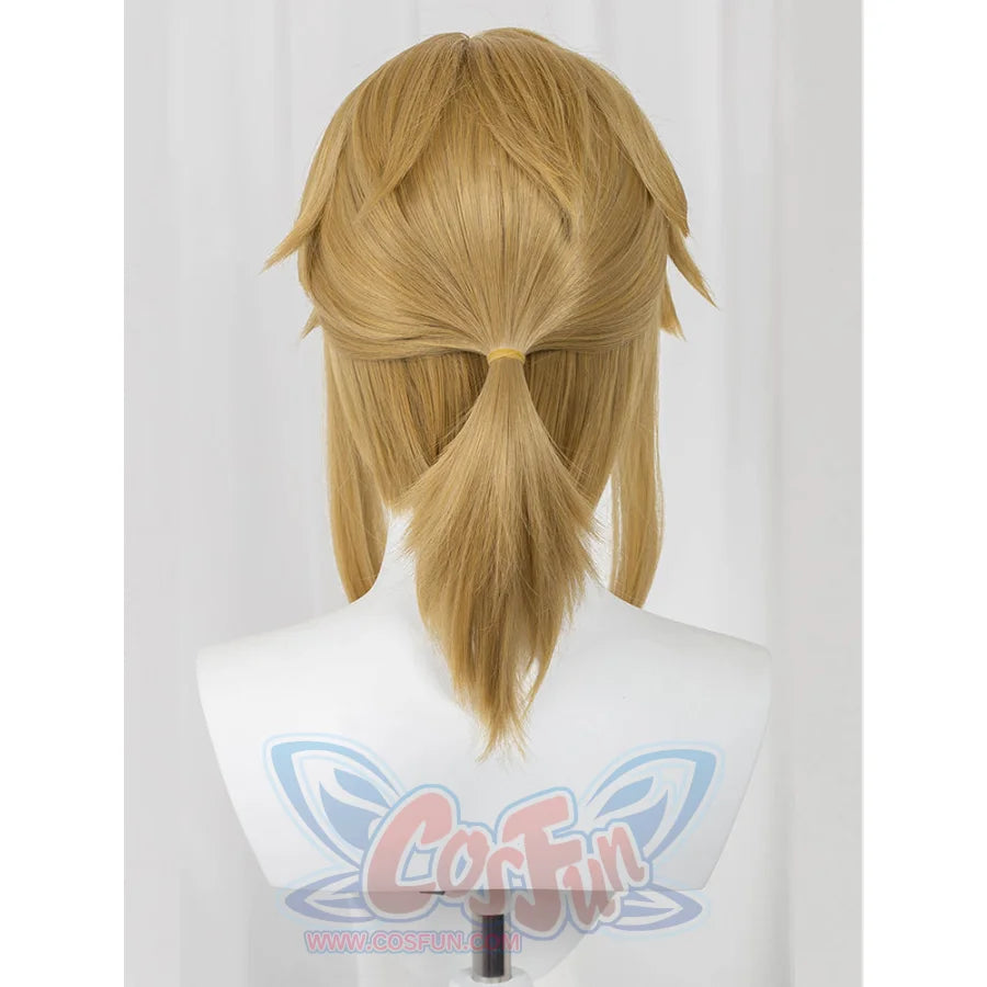 The Legend Of Zelda: Tears The Kingdom Link Cosplay Wig C07731 Wigs