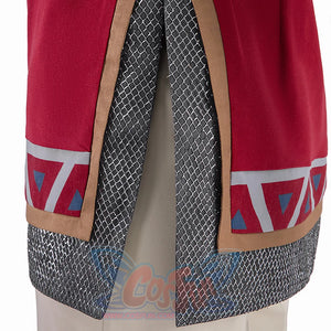 The Legend Of Zelda: Tears The Kingdom Link Hylian Armor Cosplay Costume C09137 Costumes