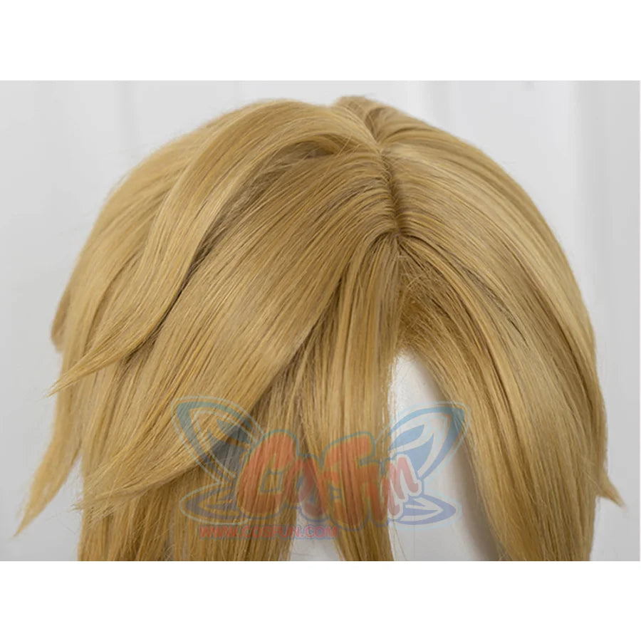 The Legend Of Zelda: Tears The Kingdom Link Cosplay Wig C07731 Wigs