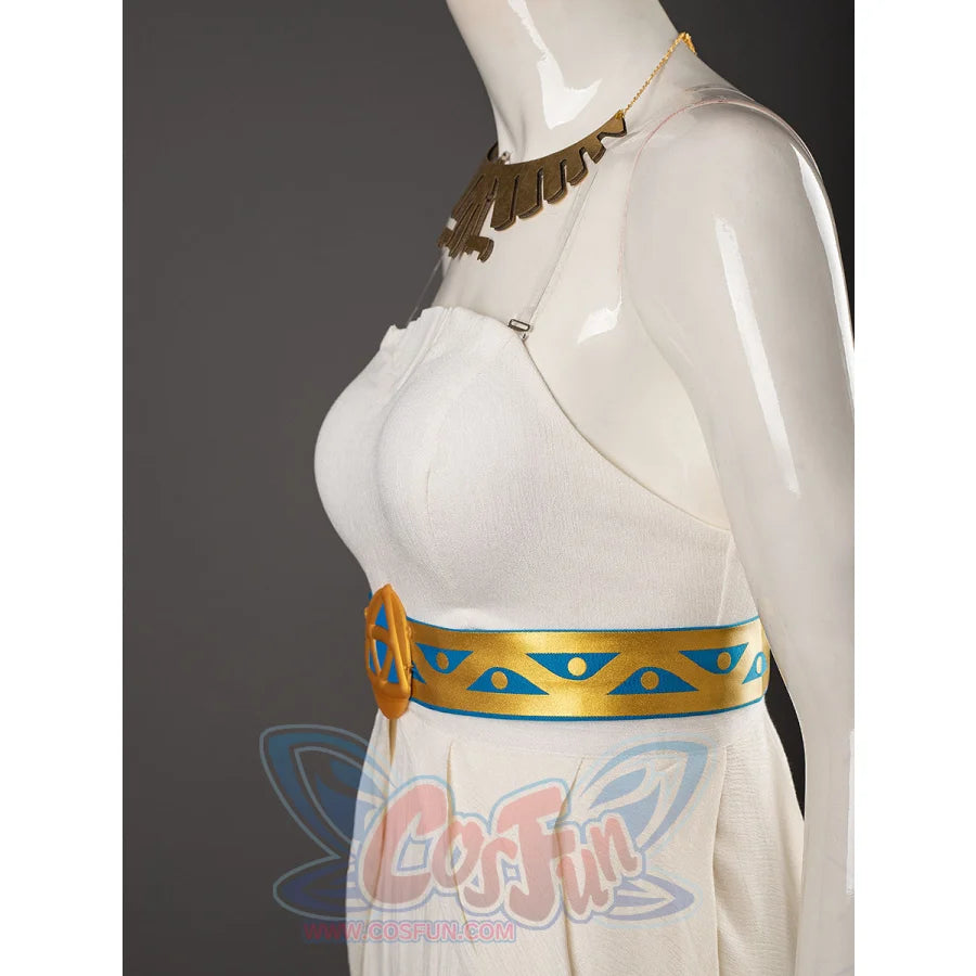 The Legend Of Zelda: Breath The Wild Princess Zelda Dress Cosplay Costumes C08294