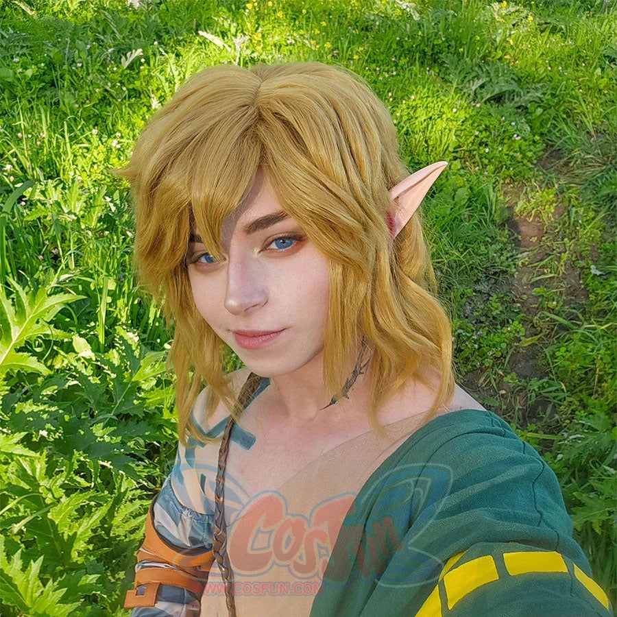 The Legend Of Zelda: Tears The Kingdom Link Cosplay Wig C07731 Wigs