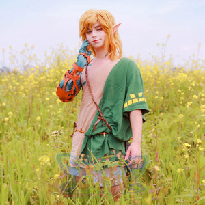 The Legend Of Zelda: Tears The Kingdom Link Cosplay Costume C07826 Costumes