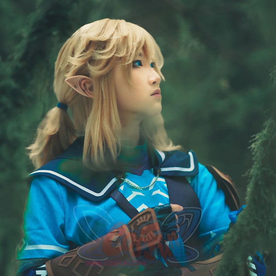 The Legend Of Zelda: Tears The Kingdom Link Cosplay Wig C07731 Wigs