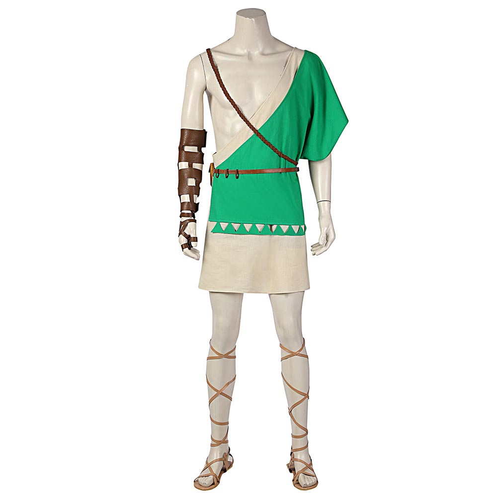 The Legend of Zelda: Breath of The Wild 2 Link Cosplay Costume C00955