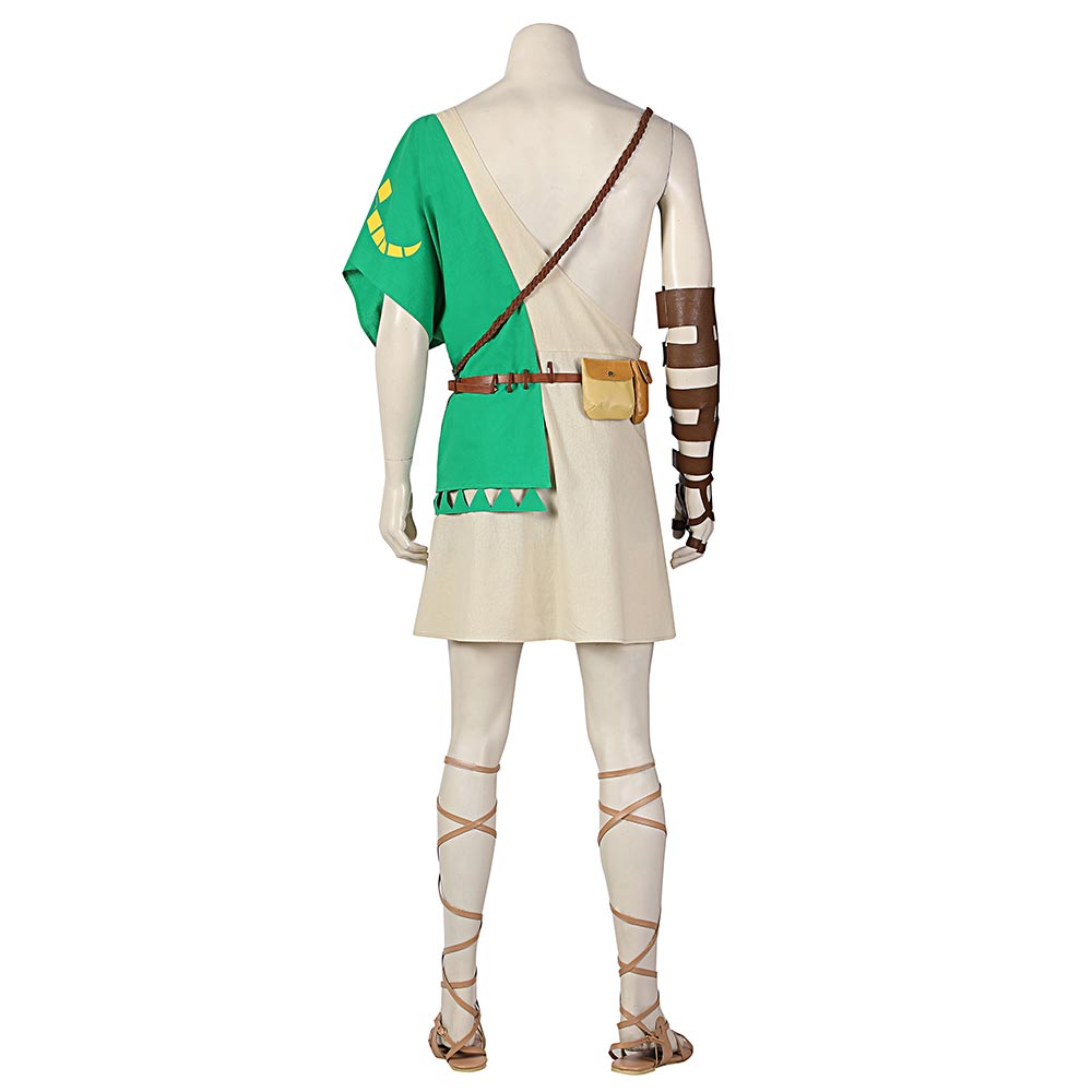 The Legend of Zelda: Breath of The Wild 2 Link Cosplay Costume C00955