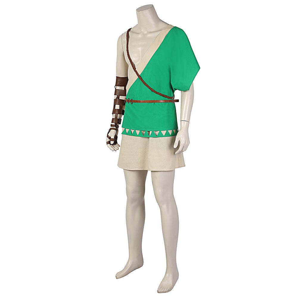 The Legend of Zelda: Breath of The Wild 2 Link Cosplay Costume C00955