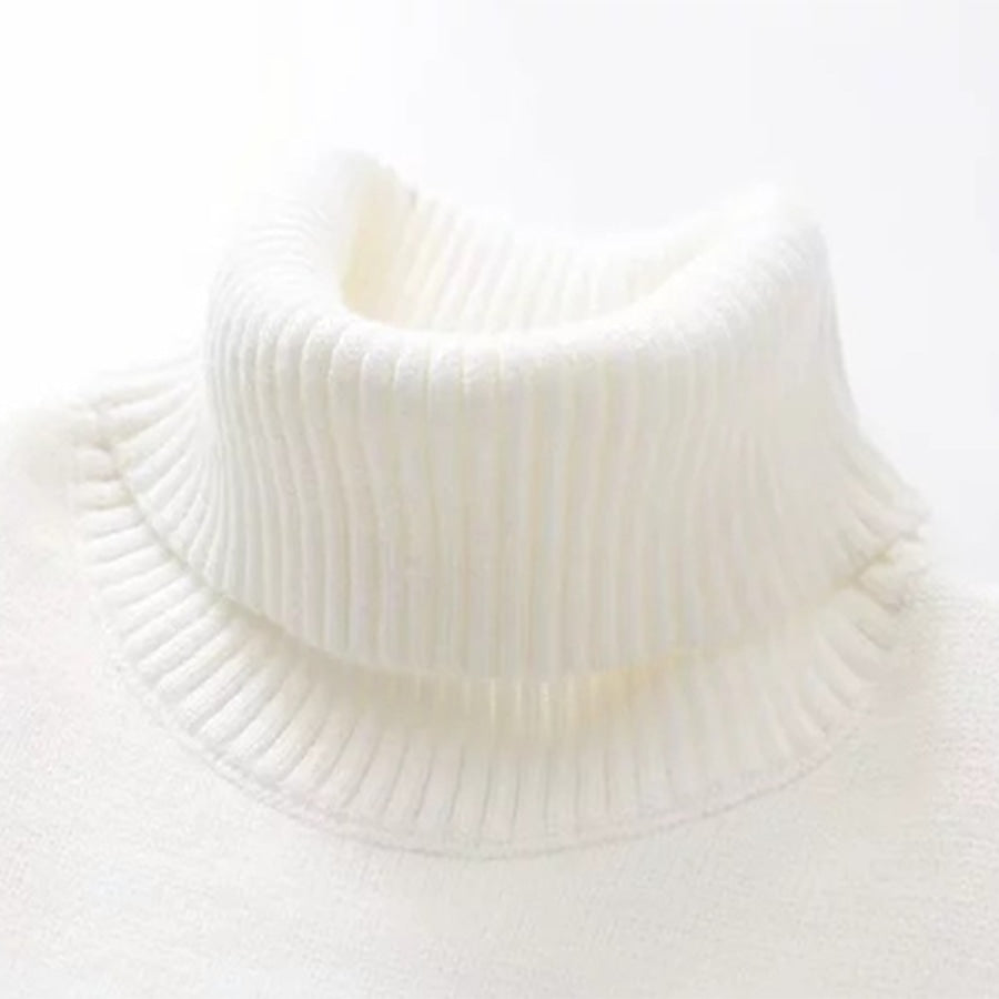 Milk Carton Turtleneck Sweater J10028 Sweatshirt